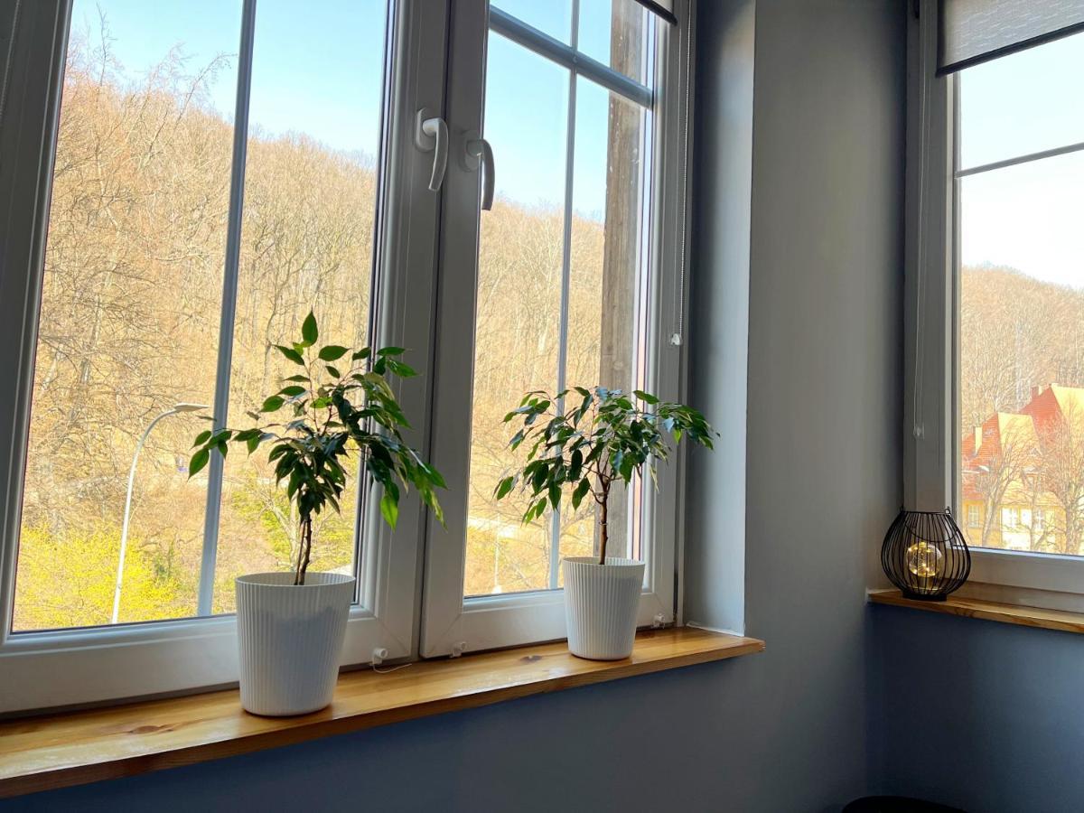 Noclegi Pod Muflonem Wałbrzych Exterior foto